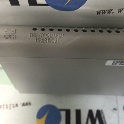 1C31219G01 Westinghouse Protocolo de comunicación Ethernet/IP para servomotor